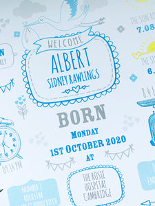 New Baby Boy Birth Stats Print