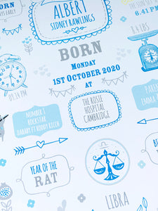 New Baby Boy Birth Stats Print