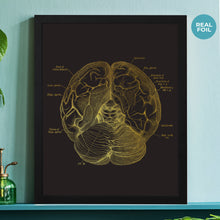 Load image into Gallery viewer, Brain Anatomy Foil Print